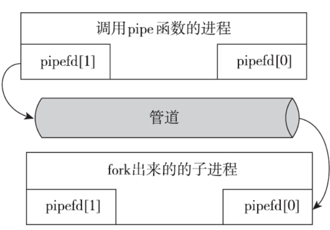 image-20250306134411895