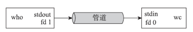 image-20250306144456753