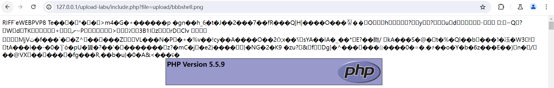 image-20240415135627242