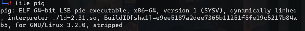 image-20231028104935630