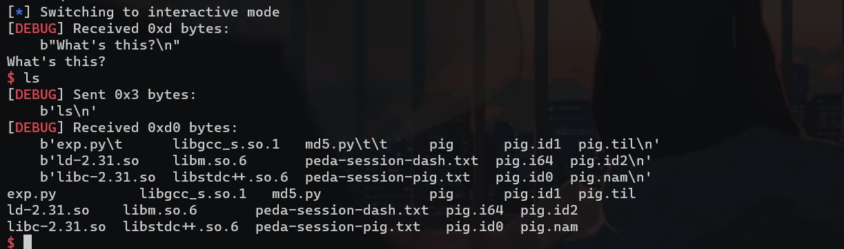 image-20231028165339348